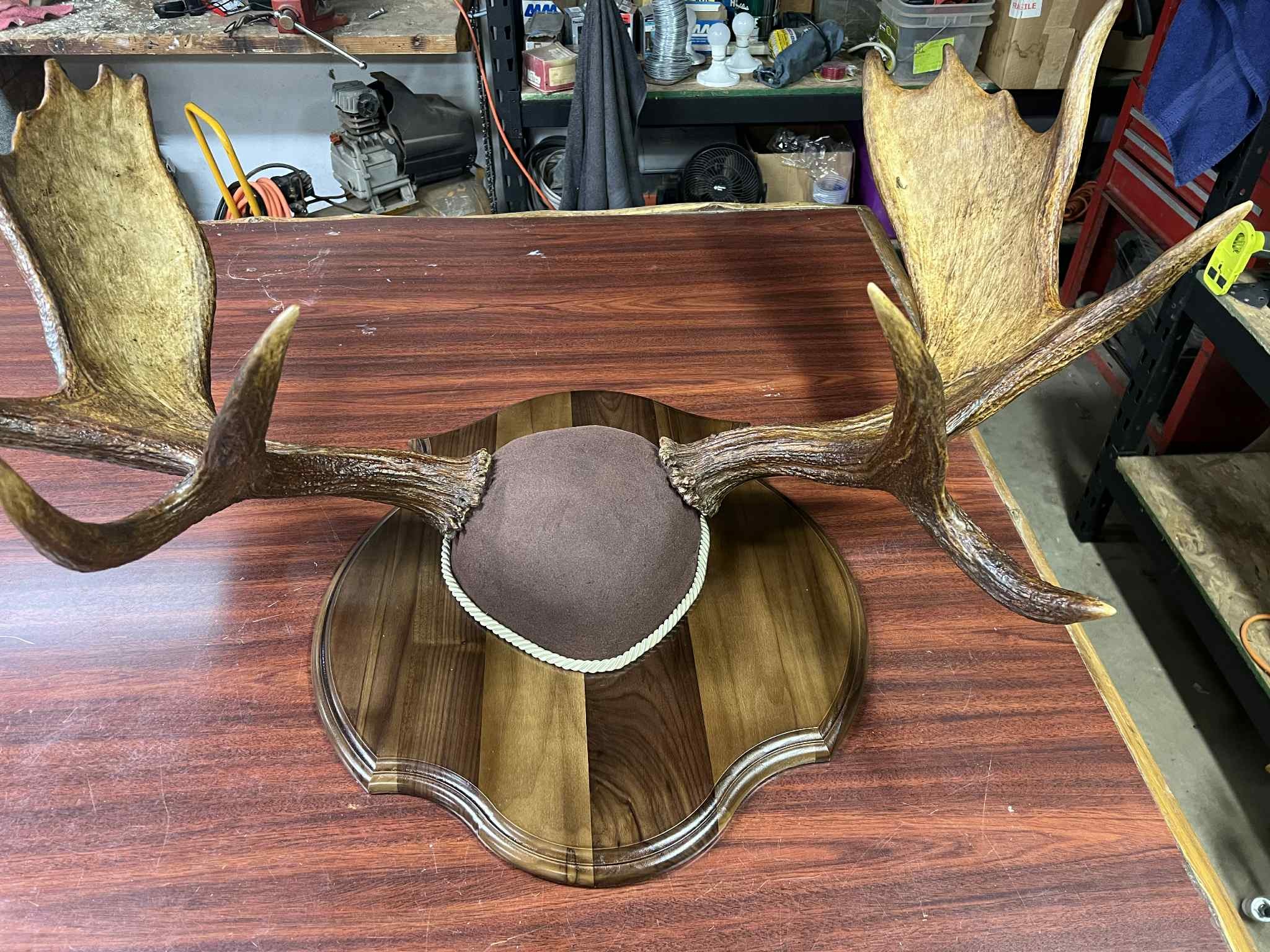 elk 1